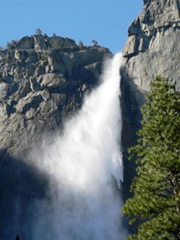 Yosemite Condominium Yosemite West Esterno foto